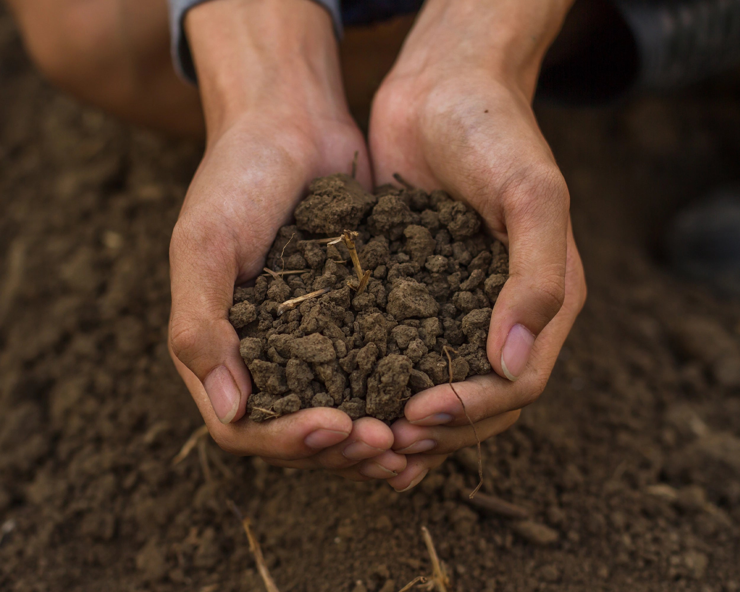 Properties of the life giving Himalayan Soil - Valley Culture