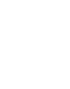 Valley Culture 